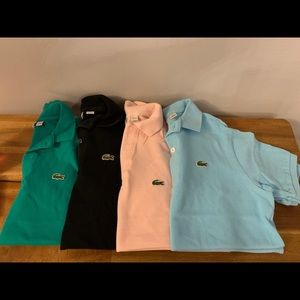 Boys Lacoste Polo (LOT OF 4!)